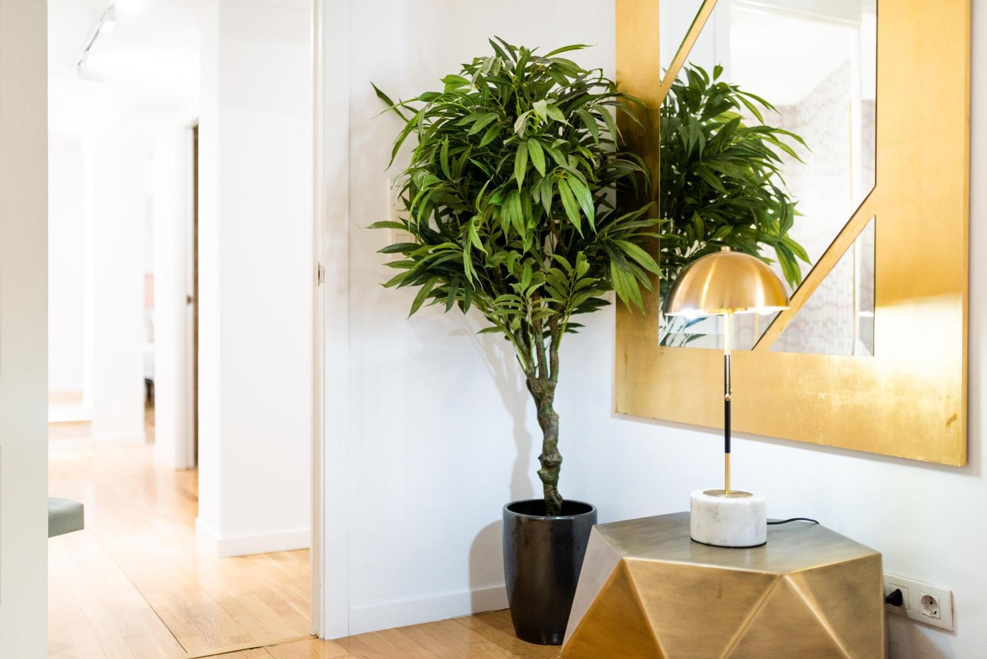 Apartment Moderno En Centro
